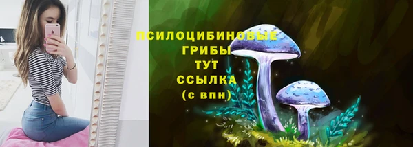 2c-b Заволжье