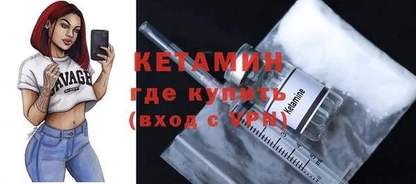 дмт Ельня