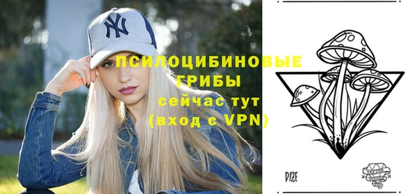2c-b Заволжье