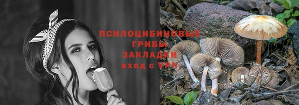 марки lsd Заводоуковск