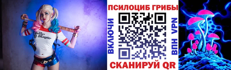 Купить где  Новодвинск  Псилоцибиновые грибы Psilocybe 